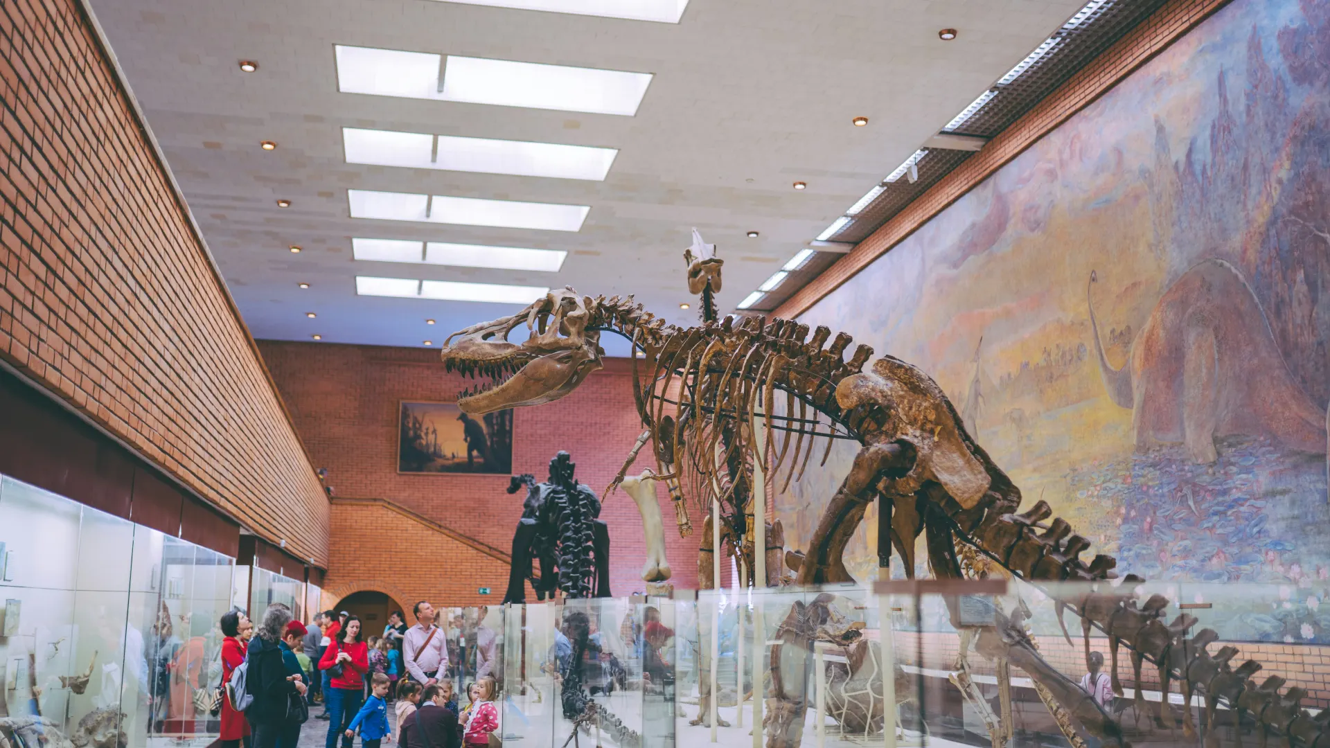 Museum visitors viewing a large dinosaur skeleton exhibit.